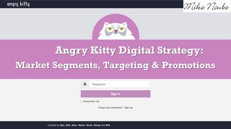 Angry Kitty Digital Strategy: Market Segments, Targeting & Promotions.
