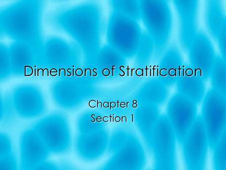 Dimensions of Stratification Chapter 8 Section 1 Chapter 8 Section 1.