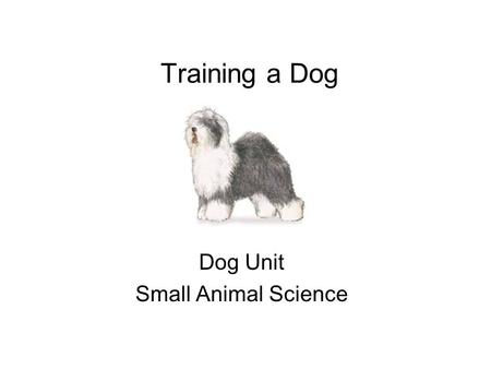 Training a Dog Dog Unit Small Animal Science. The amount and type of training depends on expectation of dog. All dogs should learn these 5 basic commands.