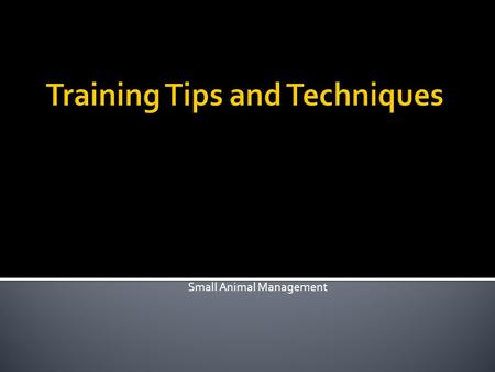 Small Animal Management.  Explain the difference between positive and negative reinforcement.  Explain how to use positive reinforcement when training.