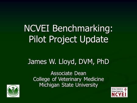 NCVEI Benchmarking: Pilot Project Update James W. Lloyd, DVM, PhD Associate Dean College of Veterinary Medicine Michigan State University.