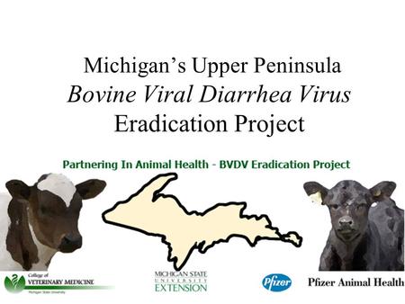 Michigan’s Upper Peninsula Bovine Viral Diarrhea Virus Eradication Project.