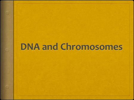 Deoxyribonucleic Acid DNA = What is DNA?  What is DNA used for in the cell?  DNA is where the GENETIC CODE is stored.  It is a set of instructions.