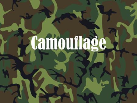 Camouflage.