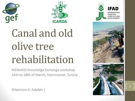 Canal and old olive tree rehabilitation MENARID Knowledge Exchange workshop 24th to 28th of March, Hammamet, Tunisia {Mamoon Al Adaileh } 1.