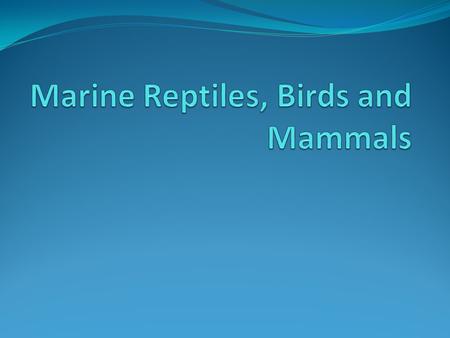 Marine Reptile Characteristics Land vertebrates are called tetrapods because they have four limbs designed for locomotion on land. They have lungs and.