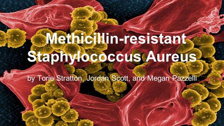 Methicillin-resistant Staphylococcus Aureus by Torie Stratton, Jordan Scott, and Megan Pazzelli.