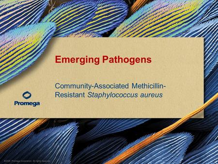 ©2008, Promega Corporation. All rights reserved. Emerging Pathogens Community-Associated Methicillin- Resistant Staphylococcus aureus.