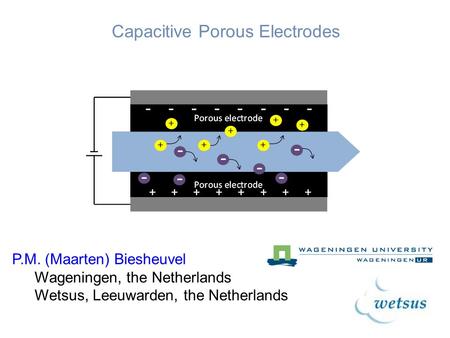 P.M. (Maarten) Biesheuvel Wageningen, the Netherlands Wetsus, Leeuwarden, the Netherlands Capacitive Porous Electrodes.