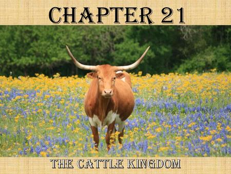 Chapter 21 The Cattle Kingdom.