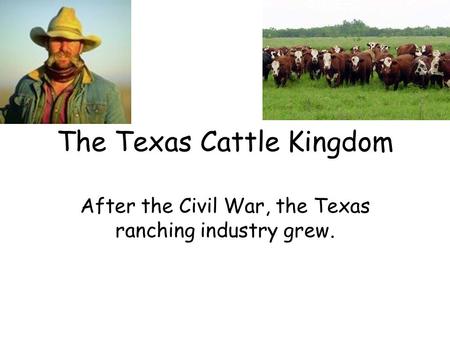 The Texas Cattle Kingdom