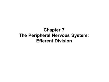 Chapter 7 The Peripheral Nervous System: Efferent Division.