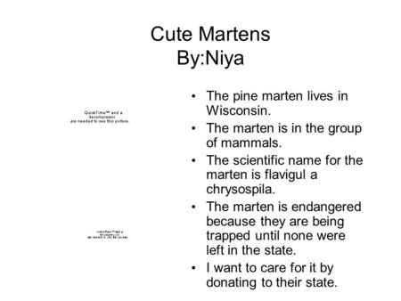 Cute Martens By:Niya The pine marten lives in Wisconsin. The marten is in the group of mammals. The scientific name for the marten is flavigul a chrysospila.