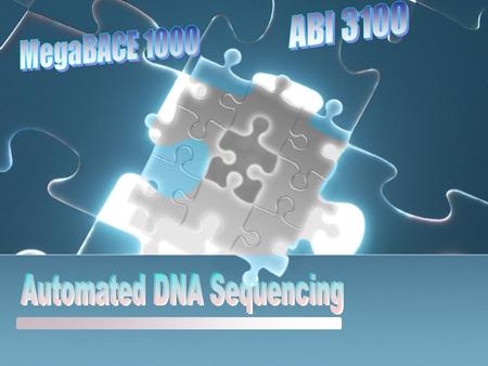  THE DNA MOLECULE.  POLYACRYLAMIDE GEL ELECTROPHORESIS  FLUORESCENCE TECHNOLOGY.  DNA SEQUENCING DEVELOPMENT.  MegaBACE & ABI SYSTEMS.  THE INSTRUMENT.