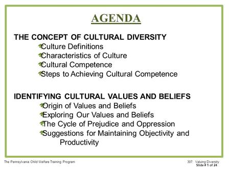 AGENDA THE CONCEPT OF CULTURAL DIVERSITY Culture Definitions
