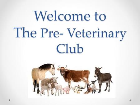 Welcome to The Pre- Veterinary Club. Officers: Isadora O’Brien (360) 391-0400 o Garret Ballou (253) 249-5262 o