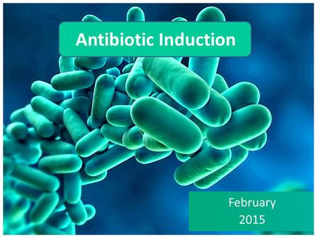 Antibiotic Induction February 2015.