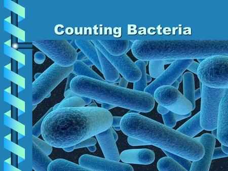 Counting Bacteria.
