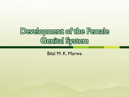 Development of the Female Genital System