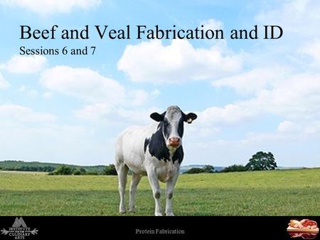 Protein Fabrication 1 Beef and Veal Fabrication and ID Sessions 6 and 7.