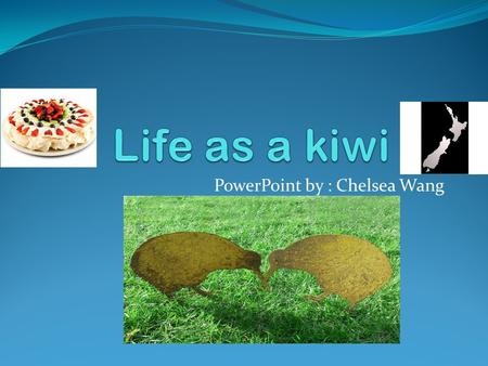 PowerPoint by : Chelsea Wang. Hello! My name is Chelsea, and I am going to tell you what makes me a kiwi.