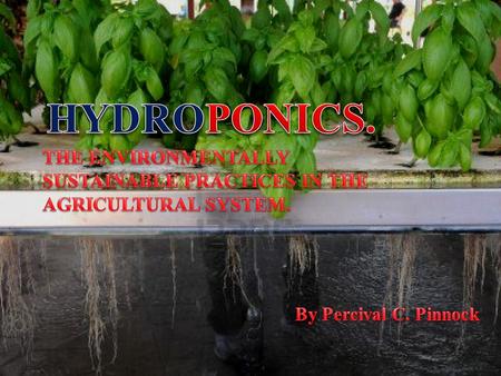  Hydroponics is a subset of hydroculture (the growing of plants in a soilless medium, or an aquatic based environment) and is a method of growing.