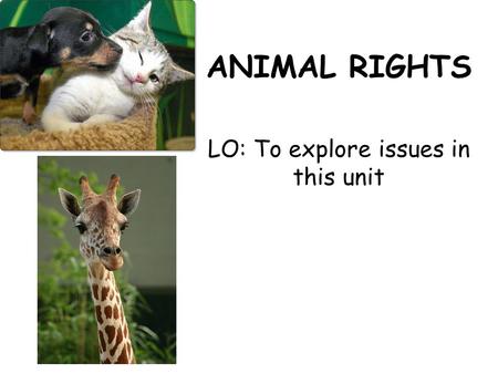 ANIMAL RIGHTS LO: To explore issues in this unit.
