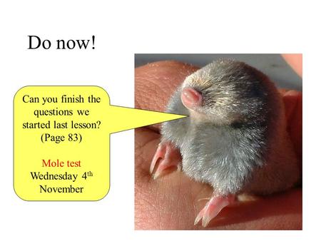 Do now! Can you finish the questions we started last lesson? (Page 83) Mole test Wednesday 4 th November.