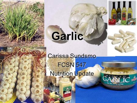 Carissa Sundsmo FCSN 547 Nutrition Update Garlic.