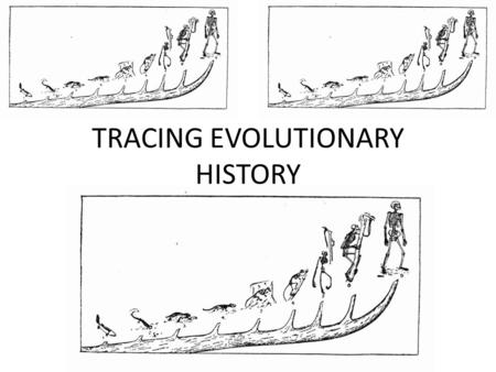 TRACING EVOLUTIONARY HISTORY