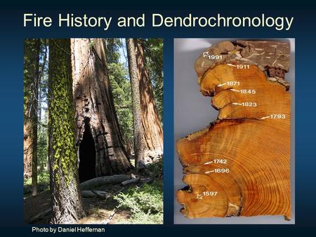 Fire History and Dendrochronology