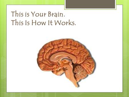 This is Your Brain. This Is How It Works. . Parts of the brain: Keep in mind there are two distinct sides with different functions.