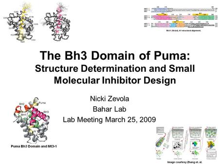 The Bh3 Domain of Puma: Structure Determination and Small Molecular Inhibitor Design Nicki Zevola Bahar Lab Lab Meeting March 25, 2009.