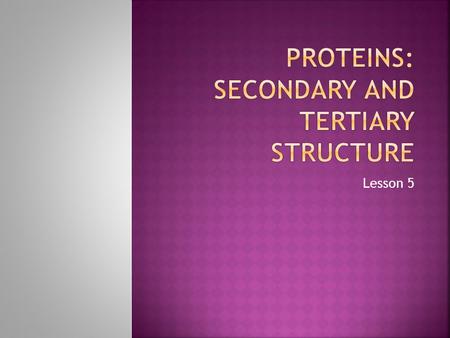 Lesson 5.  Explain the term secondary structure  Explain the term tertiary structure.