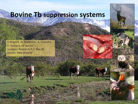 Bovine Tb suppression systems G Nugent, D. Anderson, A. Gormley, P. Holland, M. Barron Landcare Research, P.O. Box 40, Lincoln, New Zealand.