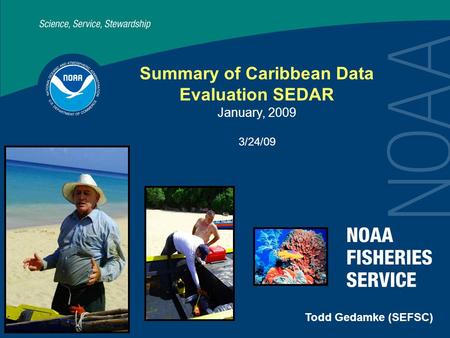 Summary of Caribbean Data Evaluation SEDAR January, 2009 3/24/09 Todd Gedamke (SEFSC)