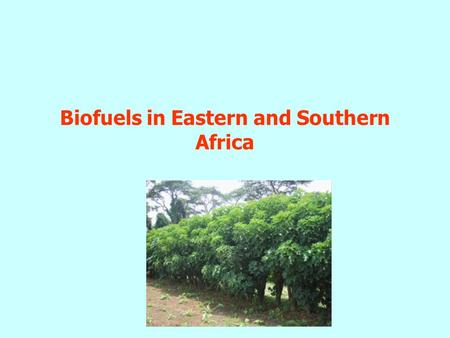 Biofuels in Eastern and Southern Africa. Outline Overview of energy sector Bio-energy Bio-fuels – Status and Trends –Bioethanol –Biomass cogeneration.