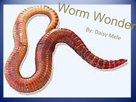 Worm Wonder By: Daisy Mele. Question/ Reason: How long does it take.5 kilograms of red wiggler worms to digest.5 kilograms of organic waste.
