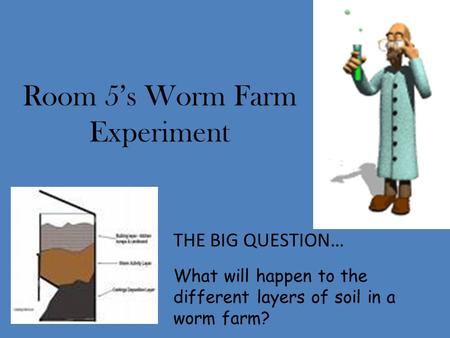 Room 5’s Worm Farm Experiment THE BIG QUESTION… What will happen to the different layers of soil in a worm farm?