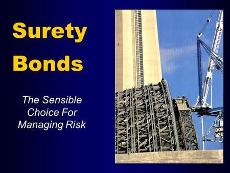 Surety Bonds The Sensible Choice For Managing Risk.