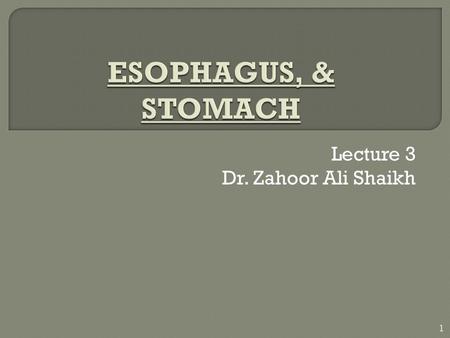 Lecture 3 Dr. Zahoor Ali Shaikh