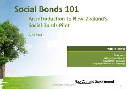 Social Bonds 101 An introduction to New Zealand’s Social Bonds Pilot June 2015 1 Background What are Social Bonds Government objectives Programme Process.