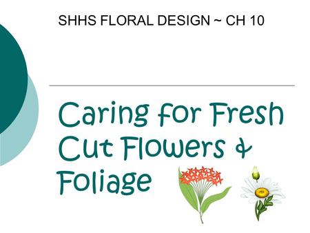 Caring for Fresh Cut Flowers & Foliage SHHS FLORAL DESIGN ~ CH 10.
