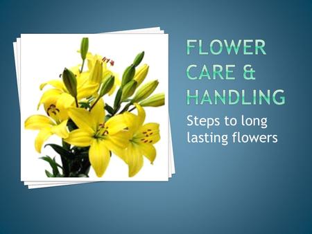 Steps to long lasting flowers.  to get the longest life possible out of the flower  customers are pleased when they buy quality flowers  promising.