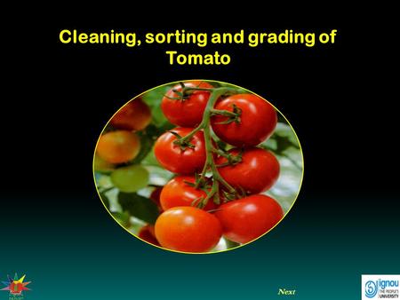 Cleaning, sorting and grading of Tomato Next. Cleaning, sorting and grading of Tomato Introduction  Cleaning.