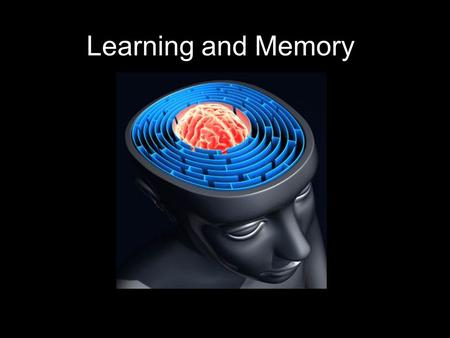 Learning and Memory. Learning relatively permanent change in behavior as a function of training, practice or experience excludes behavioral changes resulting.