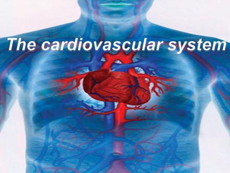 Heart ------- card\o, cardi\o Arteries ------ arteri\o Capillaries ------- capill/o Veins -------- phleb/o, ven/o Blood ------- hem/o, hemat/o Major.