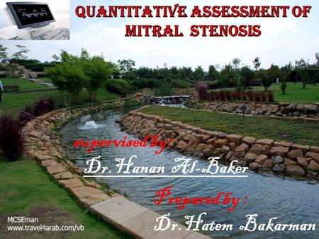 Quantitative Assessment of