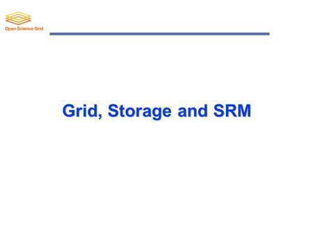 1 Grid, Storage and SRM. 2 Introduction 3 Storage and Grid Grid applications need to reserve and scheduleGrid applications need to reserve and schedule.