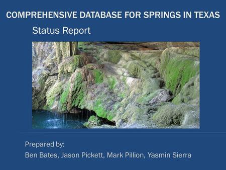 COMPREHENSIVE DATABASE FOR SPRINGS IN TEXAS Prepared by: Ben Bates, Jason Pickett, Mark Pillion, Yasmin Sierra Status Report.